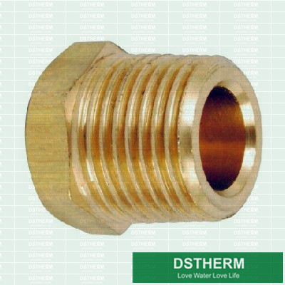 Iron Pipe Brass Fittings IPBF0020