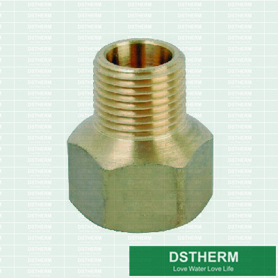 Iron Pipe Brass Fittings IPBF0024