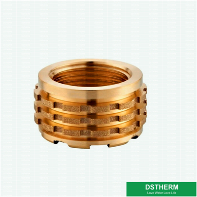 Ppr Fittings Brass Inserts Germany Designs Female Inserts Heavier Types