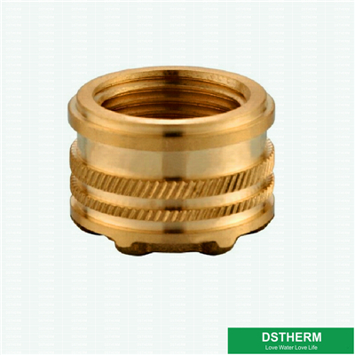 Customized Ppr Fitting Brass Inserts