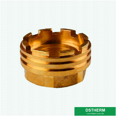 Brass Inserts Female Inserts for Ppr Fittings