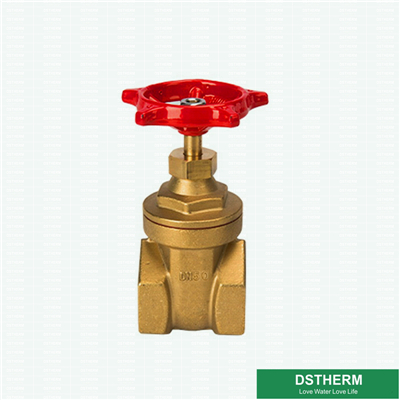 Garden Hose Pipe Customized Brass Gate Valve