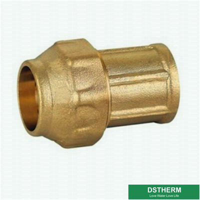 PE Tube Brass Compression Fitting Female Threaded Coupling 