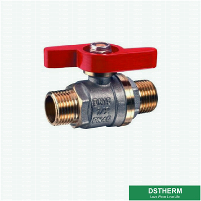 Double Color Male Male Threaded Union Brass Ball valve 