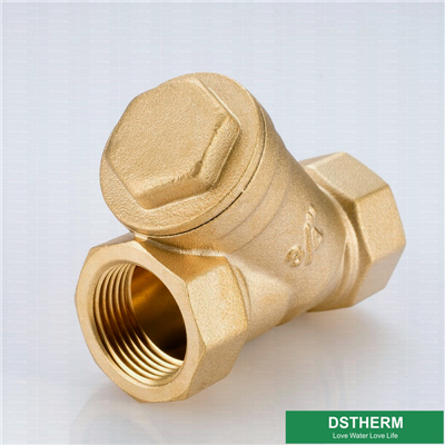 Heavier Type Y Designs Customized Brass Check Valve 