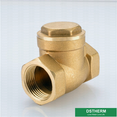 Heavier Weight Tee Type Designs Customized Brass Check Valve 