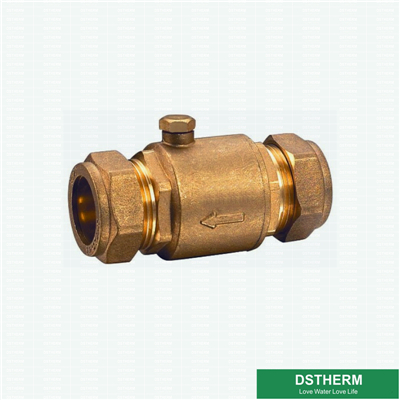 Straight Type Designs Customized Brass Check Valve 