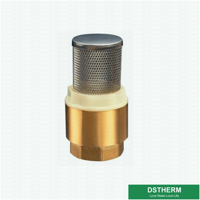 Brass Filter Check Valve With Stainless Steel Filter Net