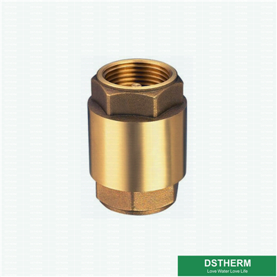 Customized Heavier Weight Brass Filter Check Valve 