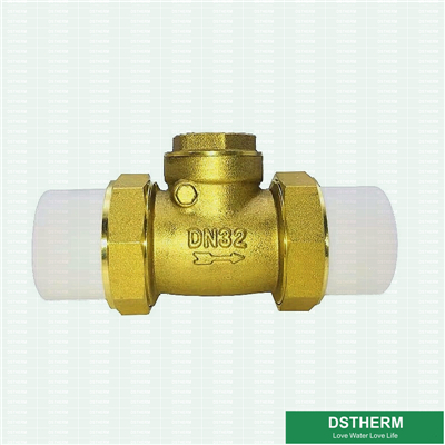 Brass Check Valve With Ppr Connector 