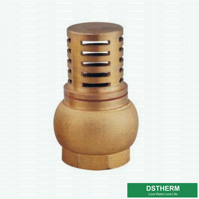 Brass Filter Net Brass Round Body Check Valve 